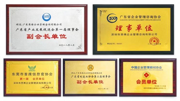 一家企业管理咨询公司荣誉背后的核心优势与行业影响力